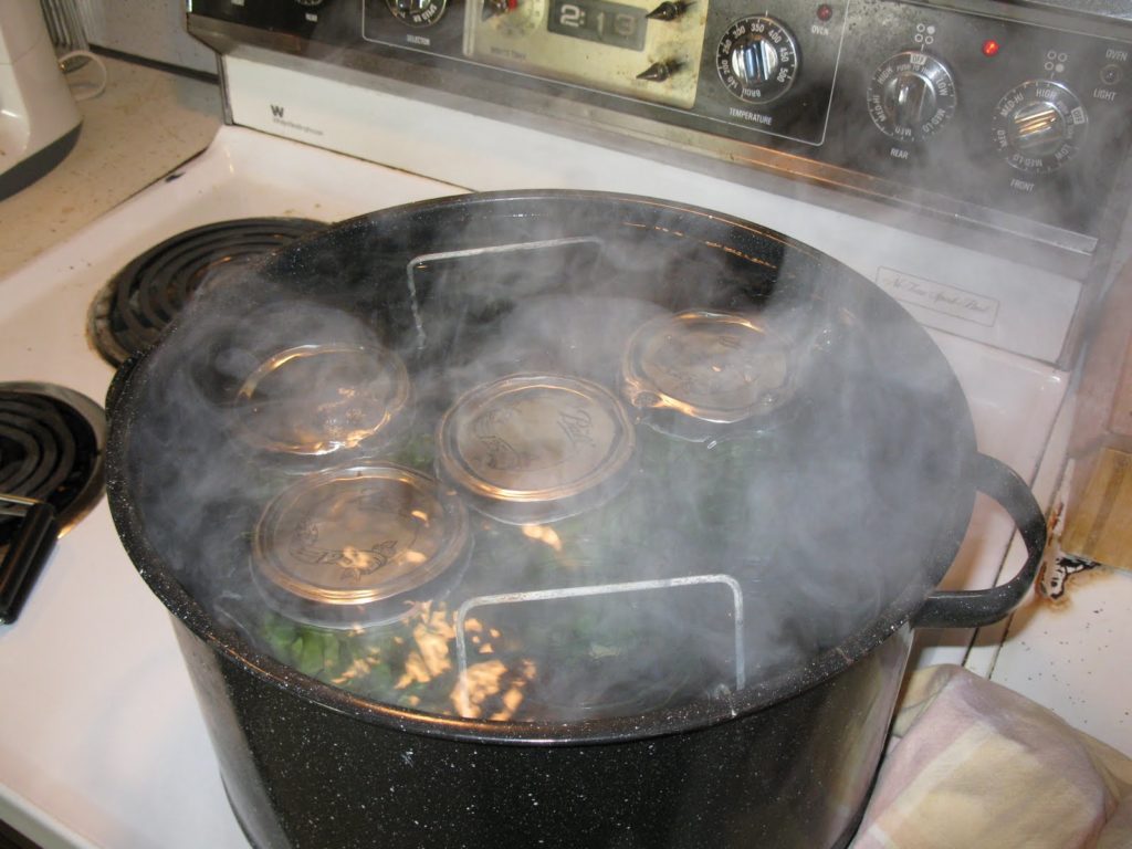 Processing Dilly Beans in the canner