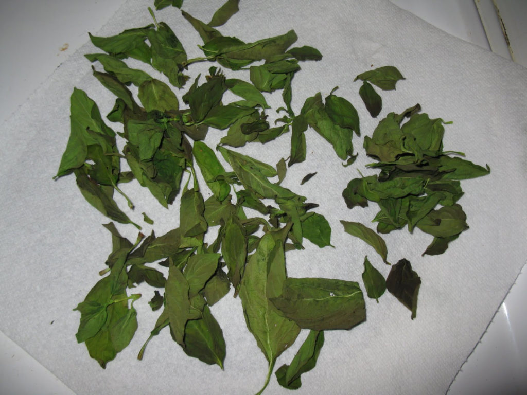 Drying Herbs Microwave