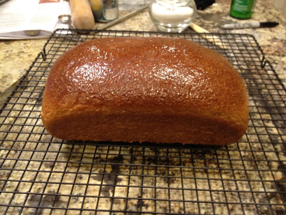 Classic 100 Whole Wheat Bread Better Done Yourself