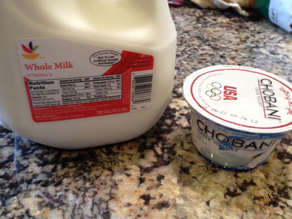 Homemade Yogurt Ingredients