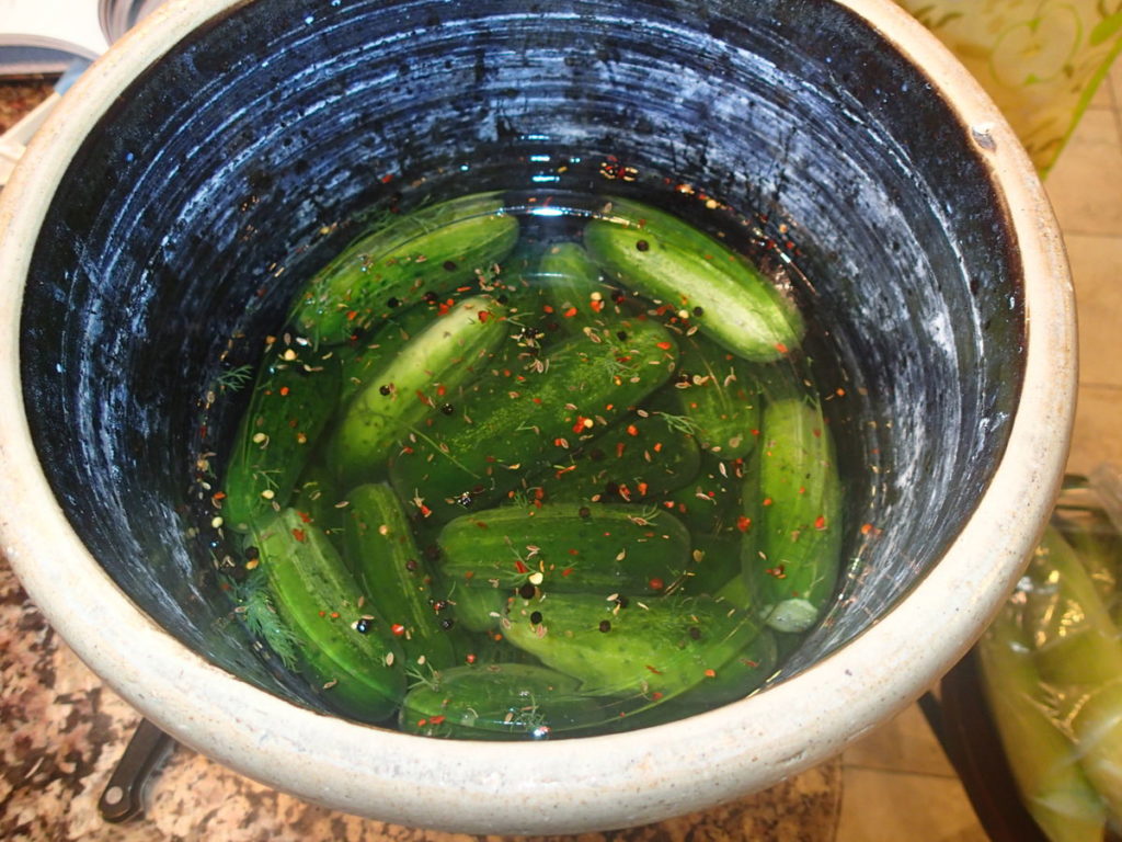Lacto-Fermented Pickles