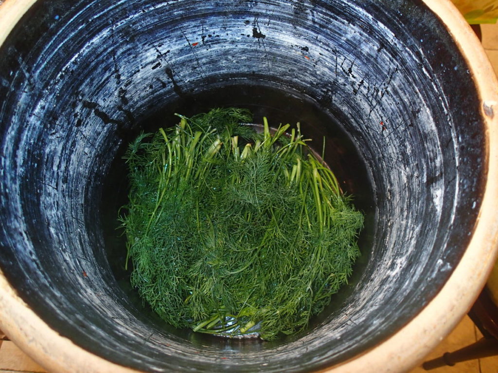 Lacto-Fermented Pickles