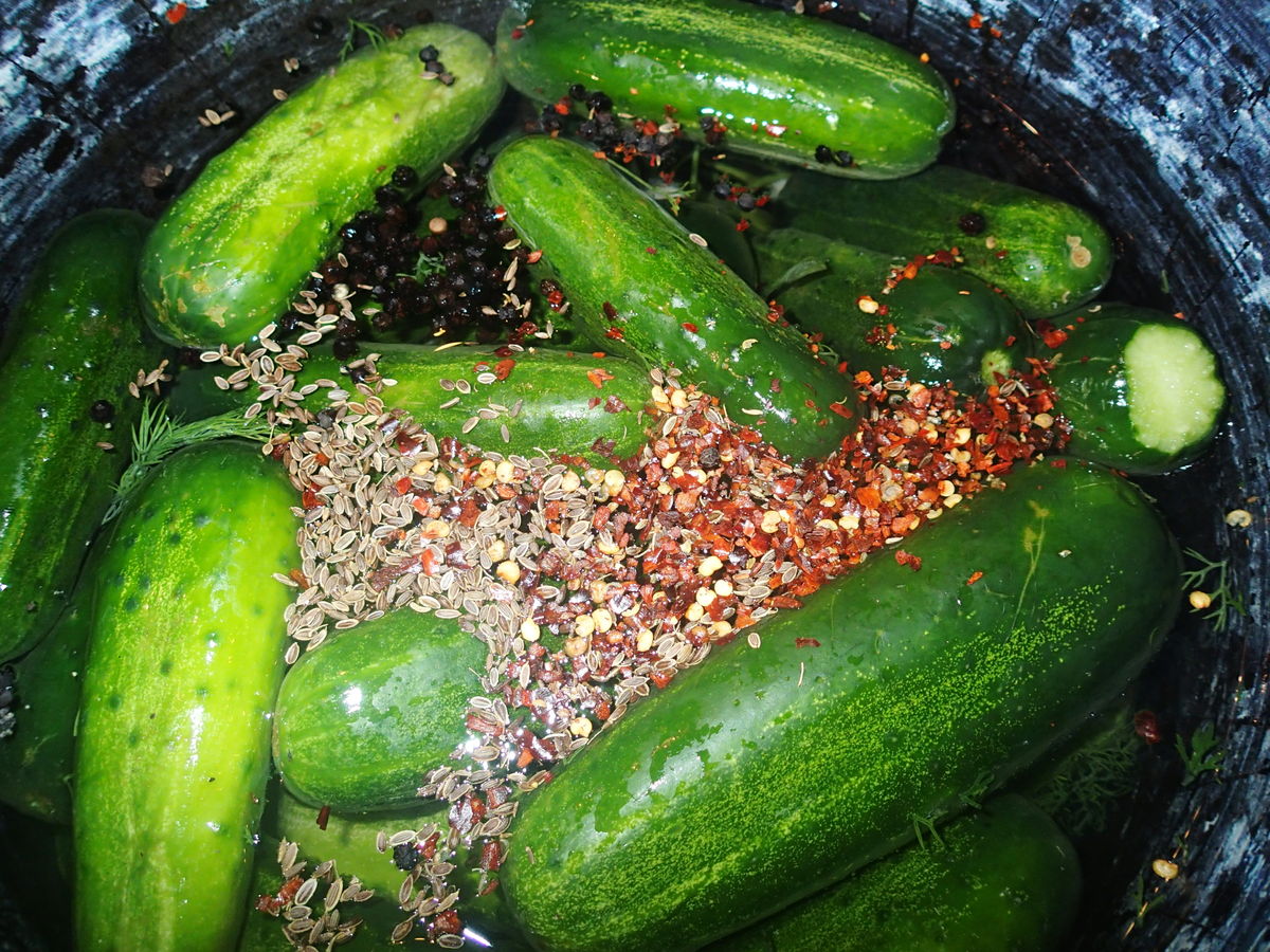 Spices Used in Kosher Dill Pickles
