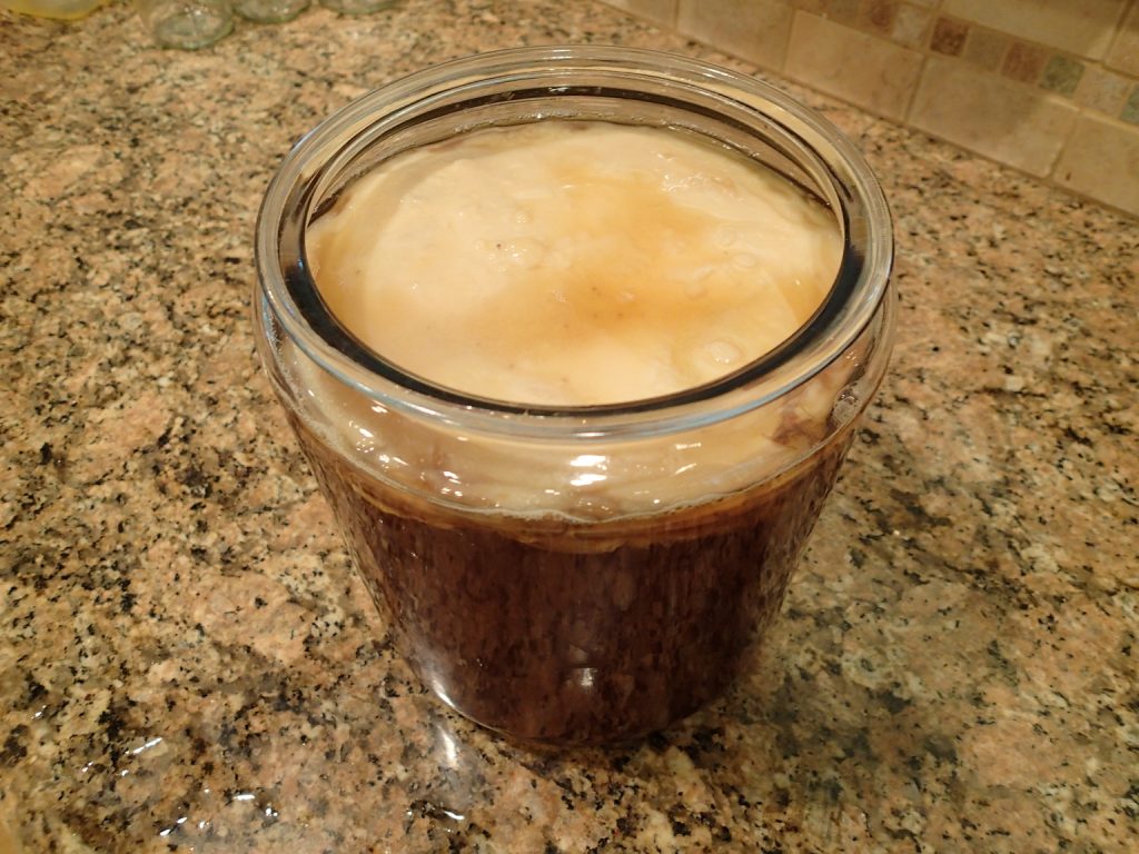Nice looking home brewed SCOBY