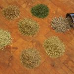 Herbes de Provence